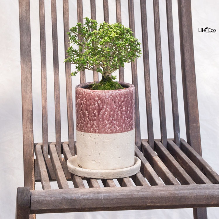 植木鉢 釉薬陶器製 インテリアポット シリンダー パープル / 4号 4寸・φ11×H16.5cm【送料B】