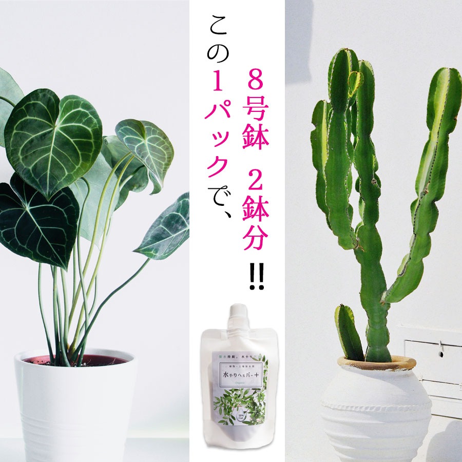 旅行 出張 不在 植物管理 水やり自動 らく 水やり当番 水やり回数半減・保水力UP 水やりヘルパー+ （プラス） 50ml お手軽パウチタイプ / 植物用土壌保水剤 保湿剤（全植物用）【送料無料】