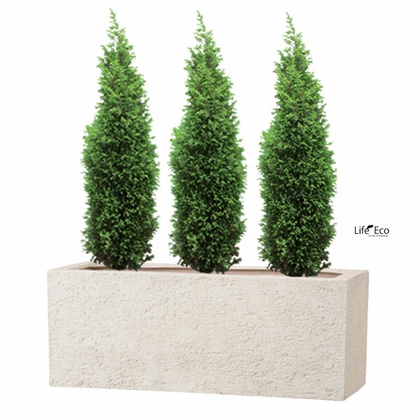 植木鉢 大型 軽量 新素材ポリストーンライト リガンデ プランター アイボリー（ホワイト 白）L60cm×W20cm×H20cm（20号）【送料E】