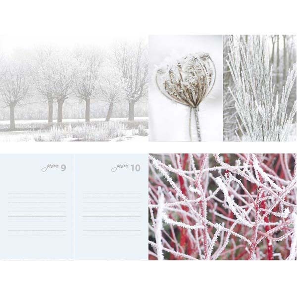 Claus Dalby 日記　ET HAVEAR【送料L】