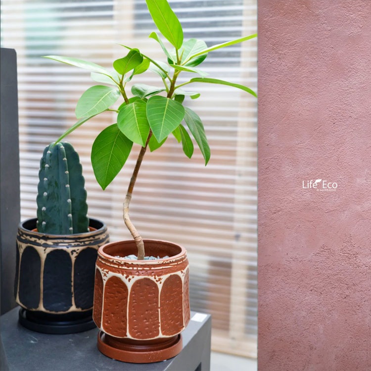 植木鉢 インテリアポット 釉薬陶器製 コモン ブラック（黒） φ18cm×H18.5cm（6号）【4個入】【送料E】