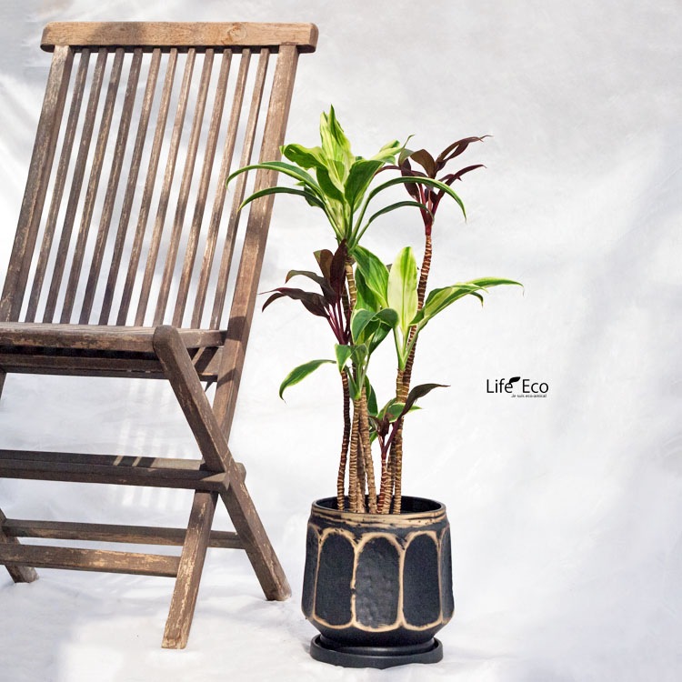 植木鉢 インテリアポット 釉薬陶器製 コモン ブラック（黒） φ18cm×H18.5cm（6号）【4個入】【送料E】