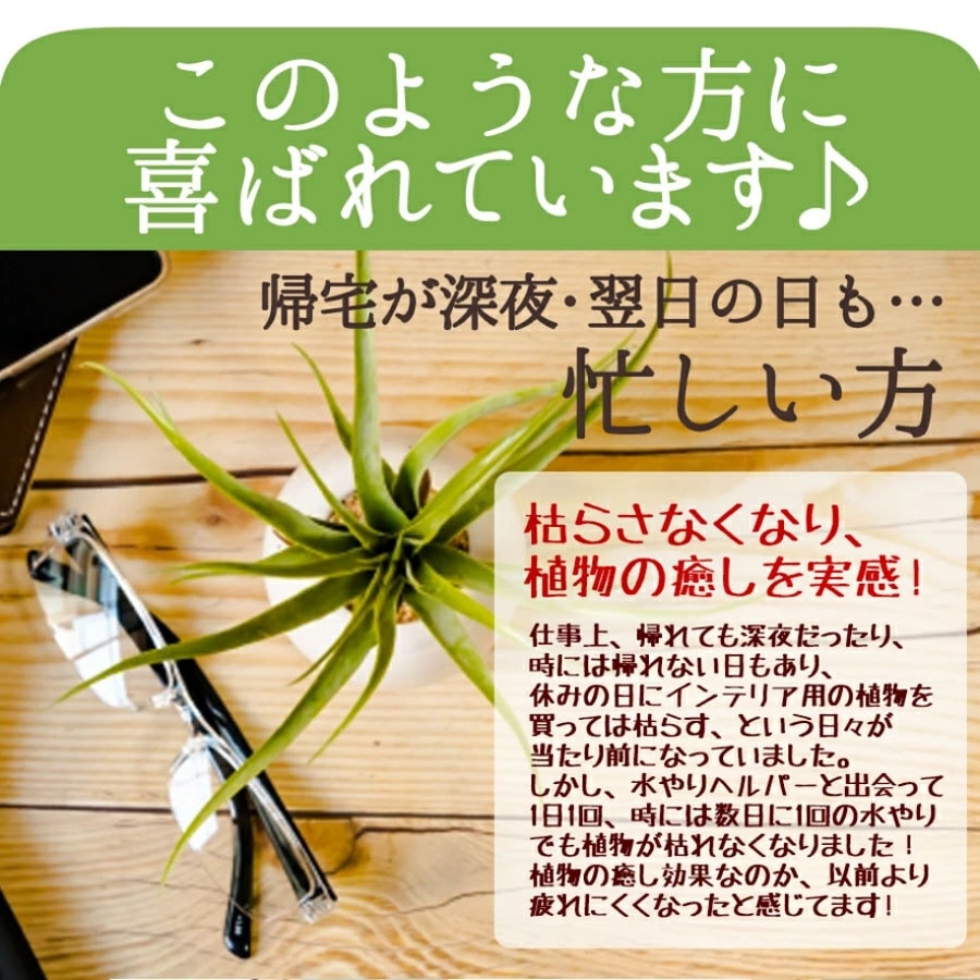 旅行 出張 不在 植物管理 水やり自動 らく 水やり当番 水やり回数半減・保水力UP 水やりヘルパー+ （プラス） 50ml お手軽パウチタイプ / 植物用土壌保水剤 保湿剤（全植物用）【3個入】【送料無料】