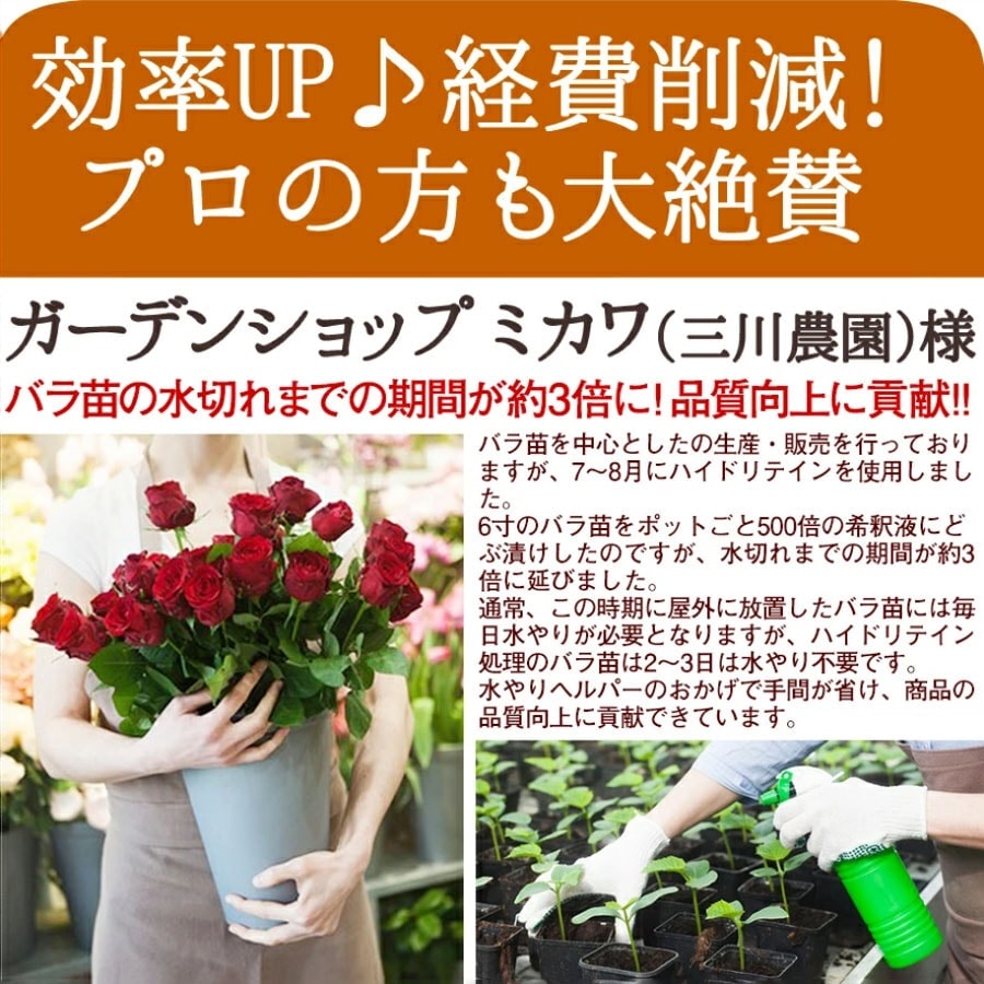 旅行 出張 不在 植物管理 水やり自動 らく 水やり当番 水やり回数半減・保水力UP 水やりヘルパー+ （プラス） 50ml お手軽パウチタイプ / 植物用土壌保水剤 保湿剤（全植物用）【3個入】【送料無料】