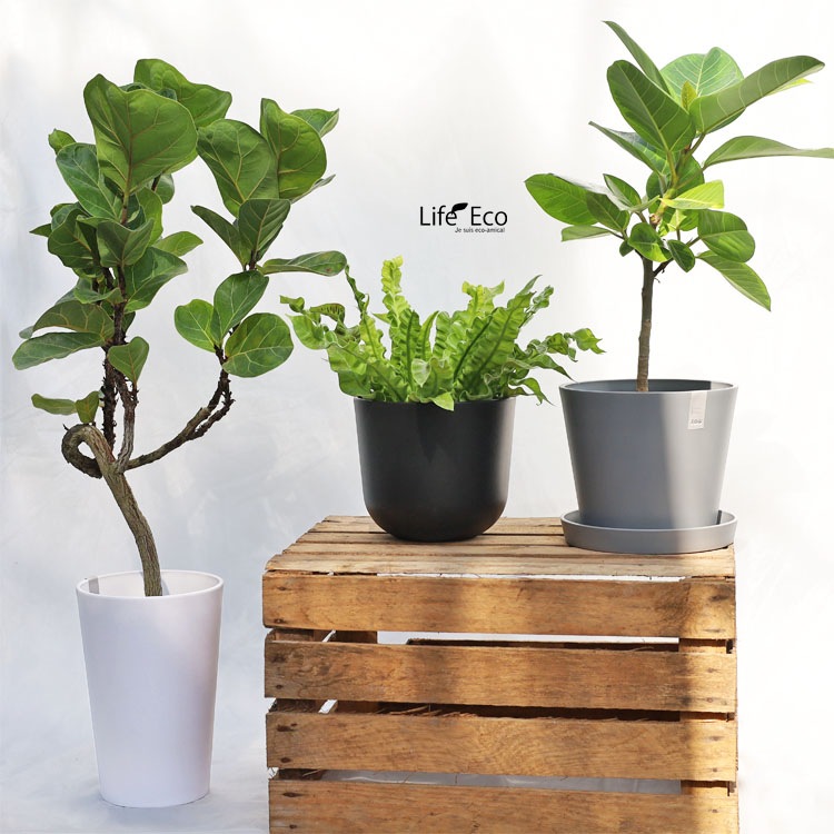 植木鉢用 専用受皿（ソーサー）樹脂製 ソウ（SAW） ソーサー ライトグレー（薄灰） φ17cm×H2.5cm【20個入】【送料D】