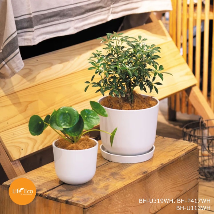 植木鉢用 専用受皿（ソーサー）樹脂製 ソウ（SAW） ソーサー ライトグレー（薄灰） φ17cm×H2.5cm【20個入】【送料D】