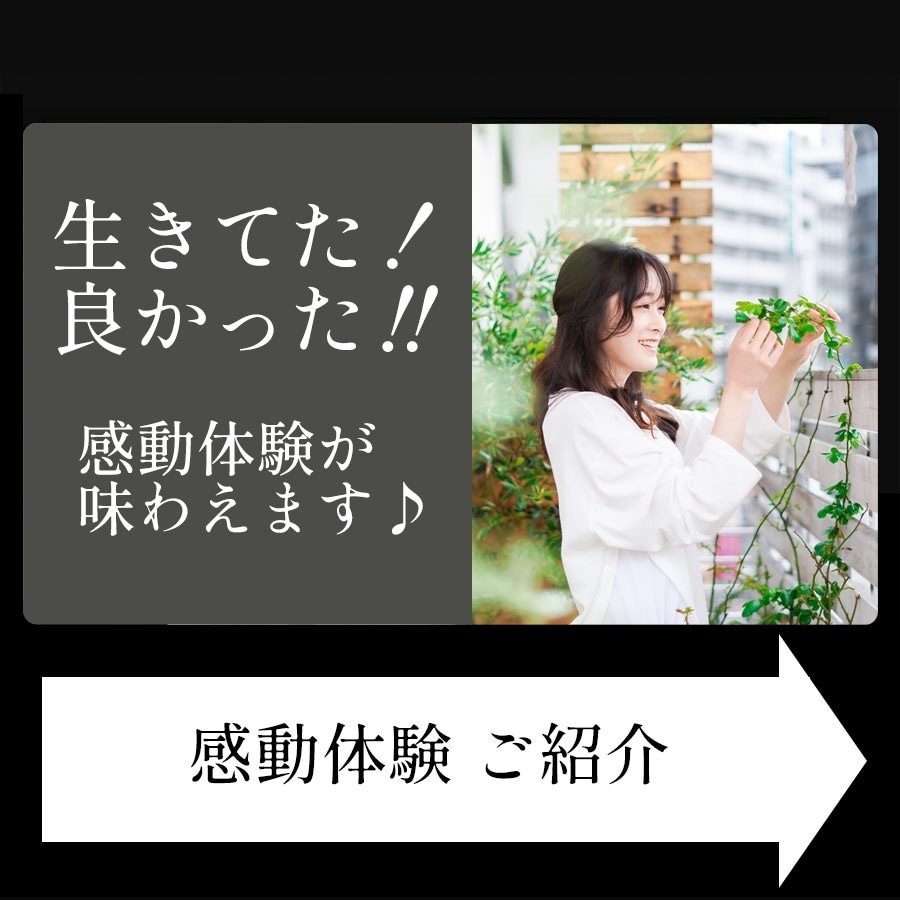 旅行 出張 不在 植物管理 水やり自動 らく 水やり当番 水やり回数半減・保水力UP 水やりヘルパー+ （プラス） 300ml  / 植物用土壌保水剤 保湿剤（全植物用）【送料L】