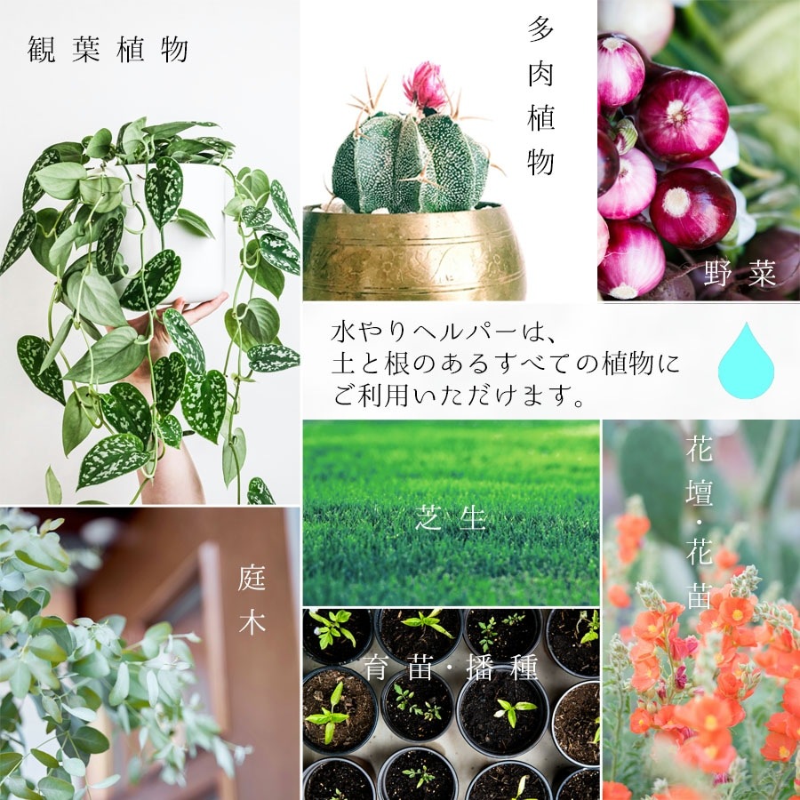 旅行 出張 不在 植物管理 水やり自動 らく 水やり当番 水やり回数半減・保水力UP 水やりヘルパー+ （プラス） 300ml  / 植物用土壌保水剤 保湿剤（全植物用）【送料L】