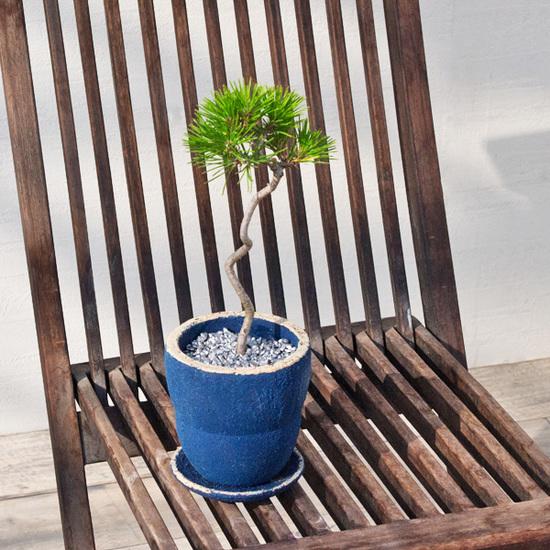 植木鉢 釉薬陶器製 インテリアポット ラウンド ブルー 青 S φ11.5cm×H13cm（4号）【3個入】【送料B】