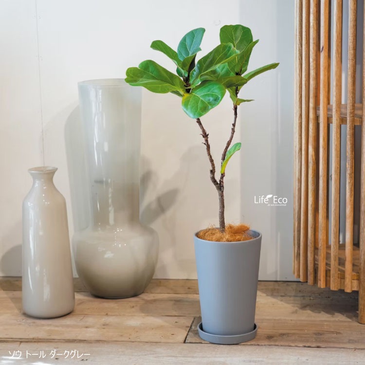 植木鉢用 専用受皿（ソーサー）樹脂製 ソウ（SAW） ソーサー ダークグレー（灰） φ12.5cm×H2cm【20個入】【送料D】