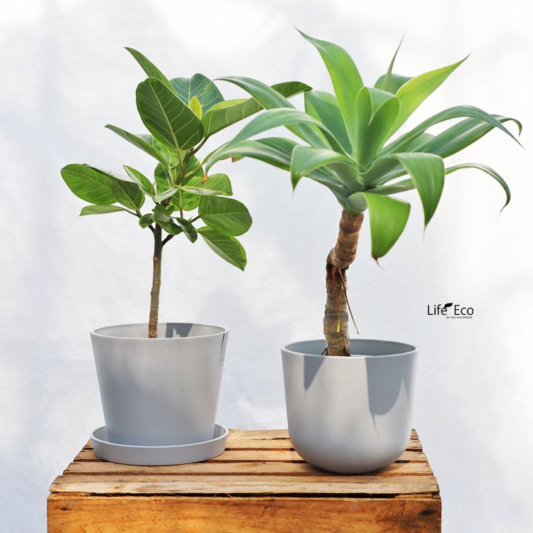 植木鉢用 専用受皿（ソーサー）樹脂製 ソウ（SAW） ソーサー ダークグレー（灰） φ12.5cm×H2cm【20個入】【送料D】