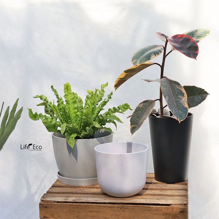 植木鉢用 専用受皿（ソーサー）樹脂製 ソウ（SAW） ソーサー ダークグレー（灰） φ12.5cm×H2cm【20個入】【送料D】