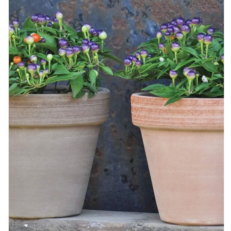 植木鉢 イタリア製 素焼き テラコッタ鉢 スタンダードポット スクラッチM 13cm（4号）【6個入】【送料E】