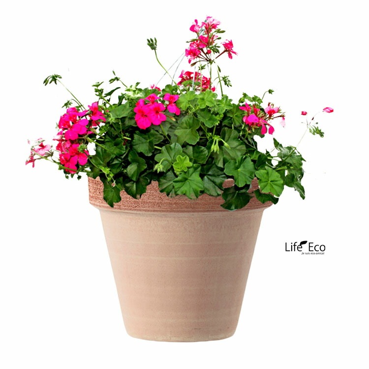 植木鉢 イタリア製 素焼き テラコッタ鉢 スタンダードポット スクラッチM 13cm（4号）【6個入】【送料E】