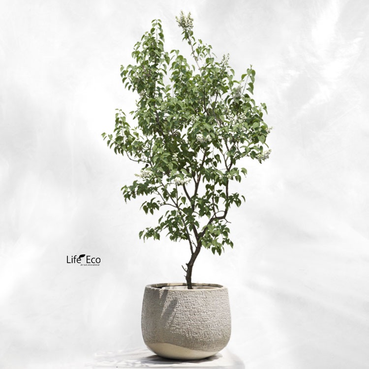 植木鉢 軽量大型 FRP製 リーヴァ ローバルーン アンティークホワイト 44cm（白） φ44cm×H33cm（15号）【送料F】