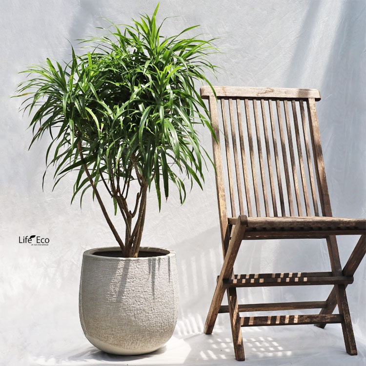 植木鉢 軽量大型 FRP製 リーヴァ ローバルーン アンティークホワイト 44cm（白） φ44cm×H33cm（15号）【送料F】