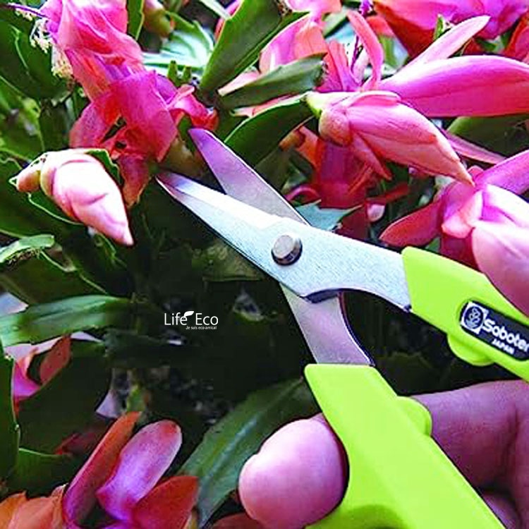 剪定鋏（ハサミ）シャインカットプラス ライムグリーン（刃研ぎ