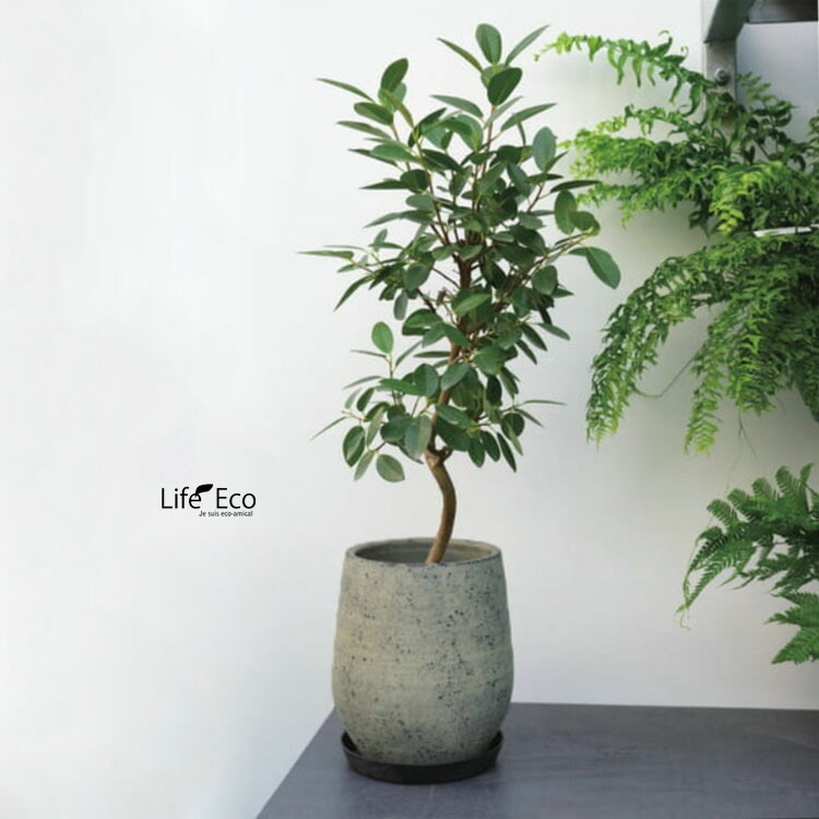 植木鉢 テラコッタ製（素焼き鉢） ビンテージ トール イエロー