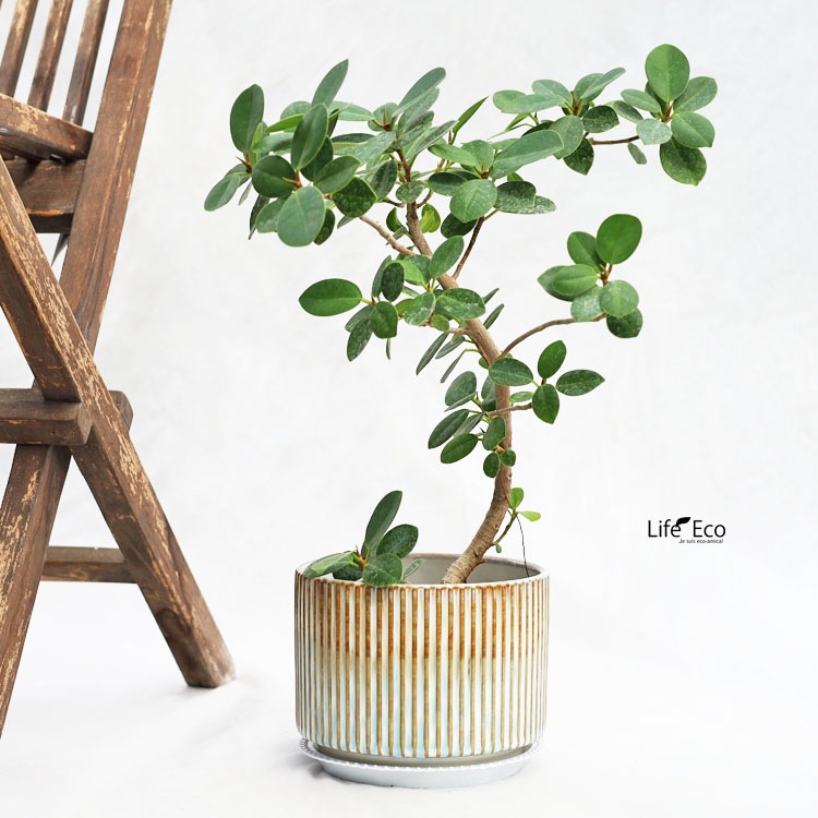 植木鉢 釉薬陶器製インテリアポット シエロ（CIELO） グラデーション（ホワイト・ブルー・ブラウン） φ16cm×H13cm（5号）【送料無料】