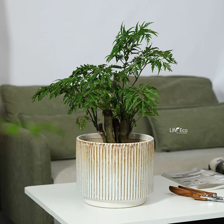 植木鉢 釉薬陶器製インテリアポット シエロ（CIELO） グラデーション（ホワイト・ブルー・ブラウン） φ16cm×H13cm（5号）【送料無料】