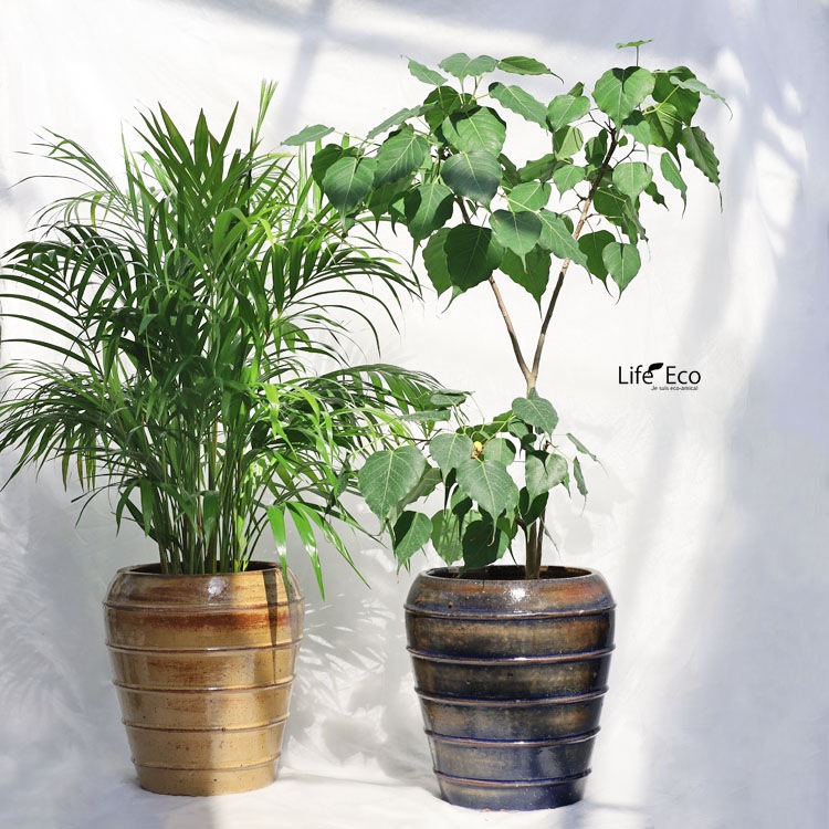 植木鉢 大型 釉薬陶器製 グロス（GLOSS） ジャー ホワイト（白） φ30cm×H34cm（10号・10寸）【送料F】