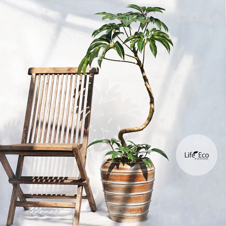 植木鉢 大型 釉薬陶器製 グロス（GLOSS） ジャー ホワイト（白） φ30cm×H34cm（10号・10寸）【送料F】
