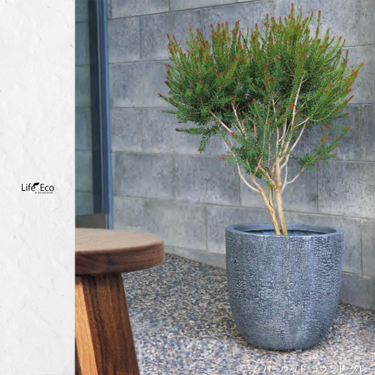 植木鉢 大型 ファイバークレイ製 バーウッド キューブ グレー（灰） □31.5cm×H31.5cm（10号）【送料E】