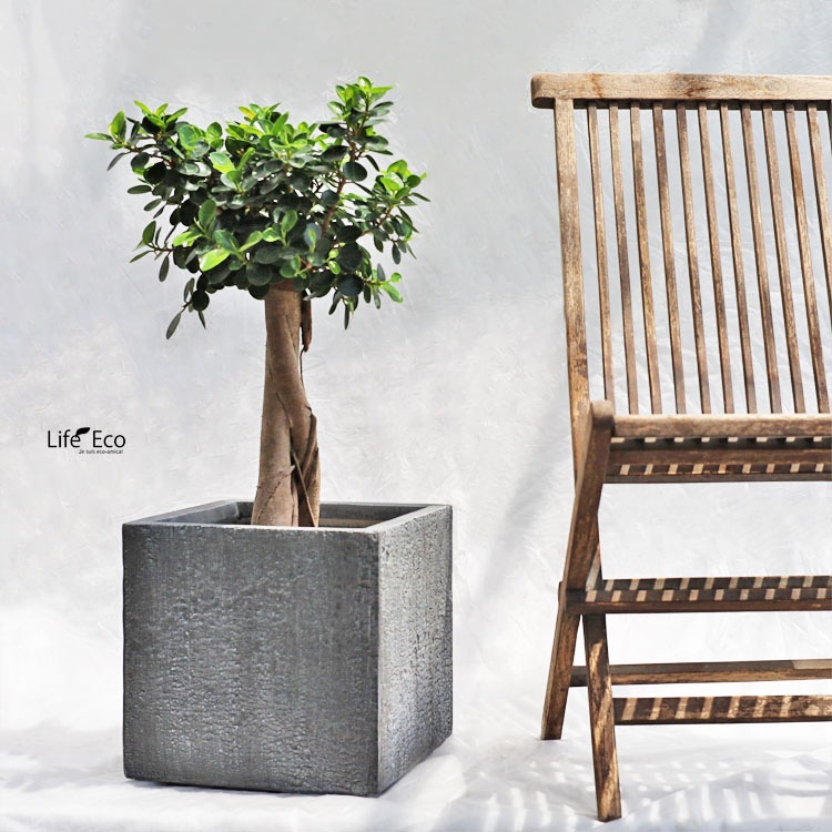 植木鉢 大型 ファイバークレイ製 バーウッド キューブ グレー（灰） □31.5cm×H31.5cm（10号）【送料E】