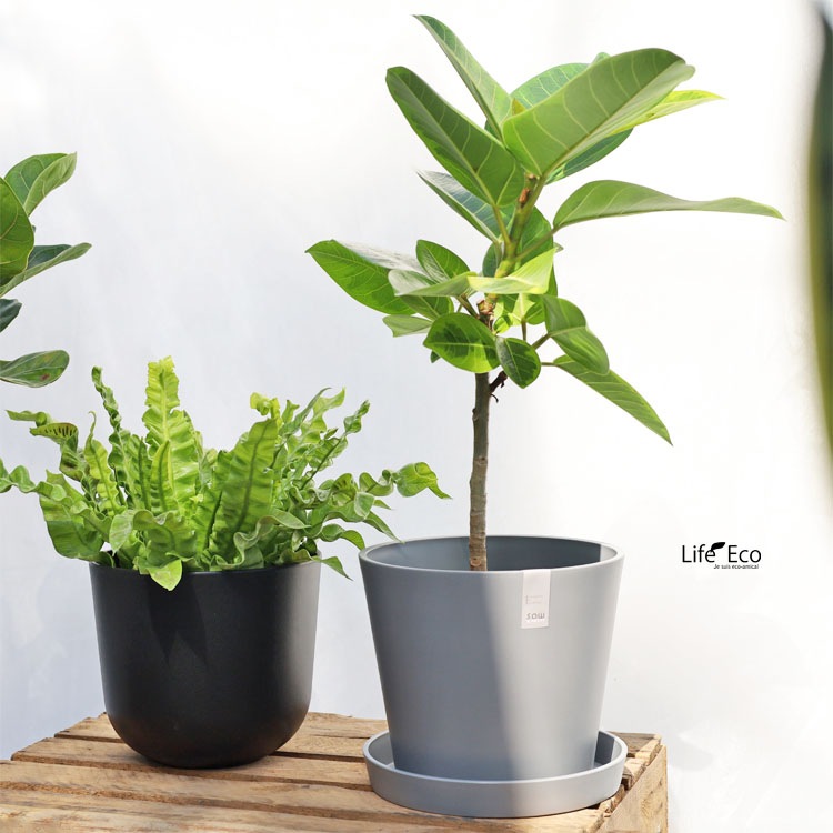 植木鉢用 専用受皿（ソーサー）樹脂製 ソウ（SAW） ソーサー ブラック（黒） φ11cm×H1.6cm【30個入】【送料D】