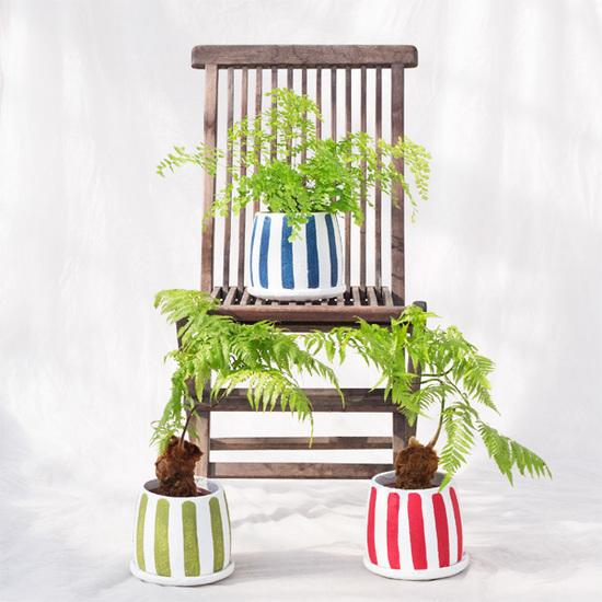 植木鉢 釉薬陶器製 インテリアポット ラウンド グリーンストライプ 緑 / 6号 6寸・φ17.5×H16.5cm【送料B】