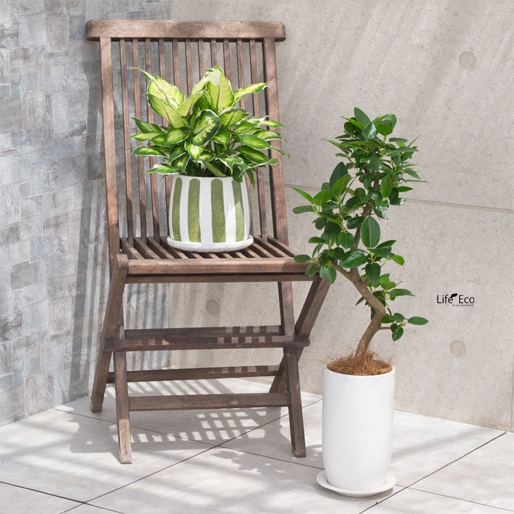 植木鉢 釉薬陶器製 インテリアポット ラウンド グリーンストライプ 緑 / 6号 6寸・φ17.5×H16.5cm【送料B】