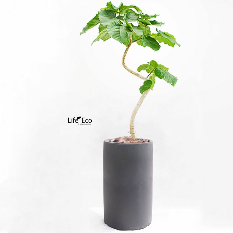 植木鉢 大型 軽量 ニュートラ トールシリンダー ブラック（黒） φ34cm×H61.5cm（11号）【送料F】