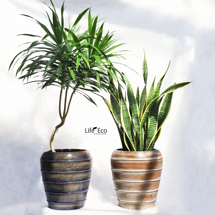 植木鉢 大型 釉薬陶器製 グロス（GLOSS） ジャー イエロー（黄） φ30cm×H34cm（10号・10寸）【送料F】