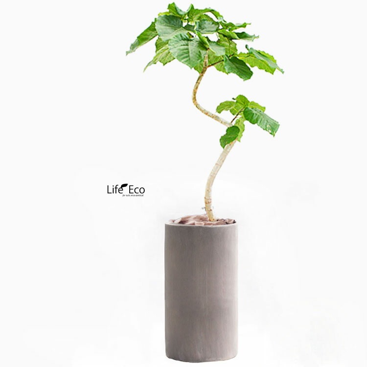 植木鉢 大型 軽量 ニュートラ トールシリンダー ブラウン（茶） φ34cm×H61.5cm（11号）【送料F】
