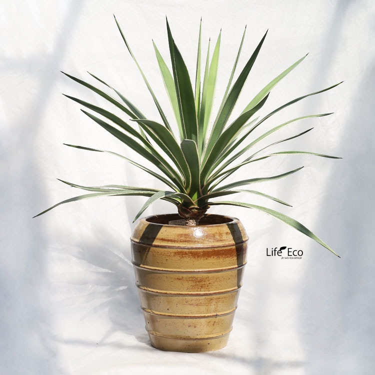 植木鉢 大型 釉薬陶器製 グロス（GLOSS） ジャー イエロー（黄） φ30cm×H34cm（10号・10寸）【送料F】
