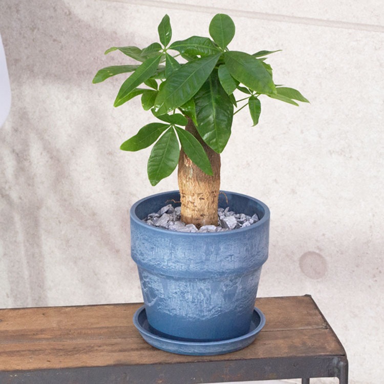 植木鉢 軽量大型 ルーブル ヴィーブ（キューブ） ブリティッシュグレー