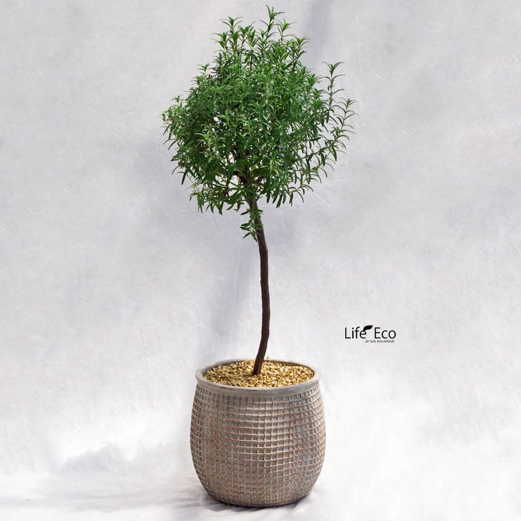 鉢土に載せるマルチングストーン（カラーストーン・化粧石）ゴールド（金） 小粒 5～7mm / 観葉植物、鉢花、鉢植え庭木の乾燥・害虫防止【送料無料】