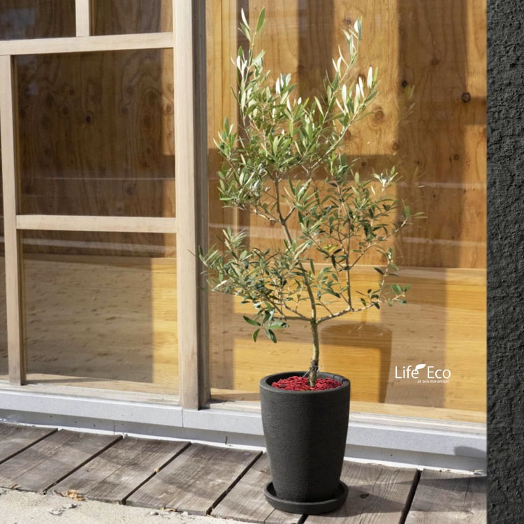鉢土に載せるマルチングストーン（カラーストーン・化粧石）レッド（赤） 大粒 5～20mm  / 観葉植物、鉢花、鉢植え庭木の乾燥・害虫防止【送料無料】