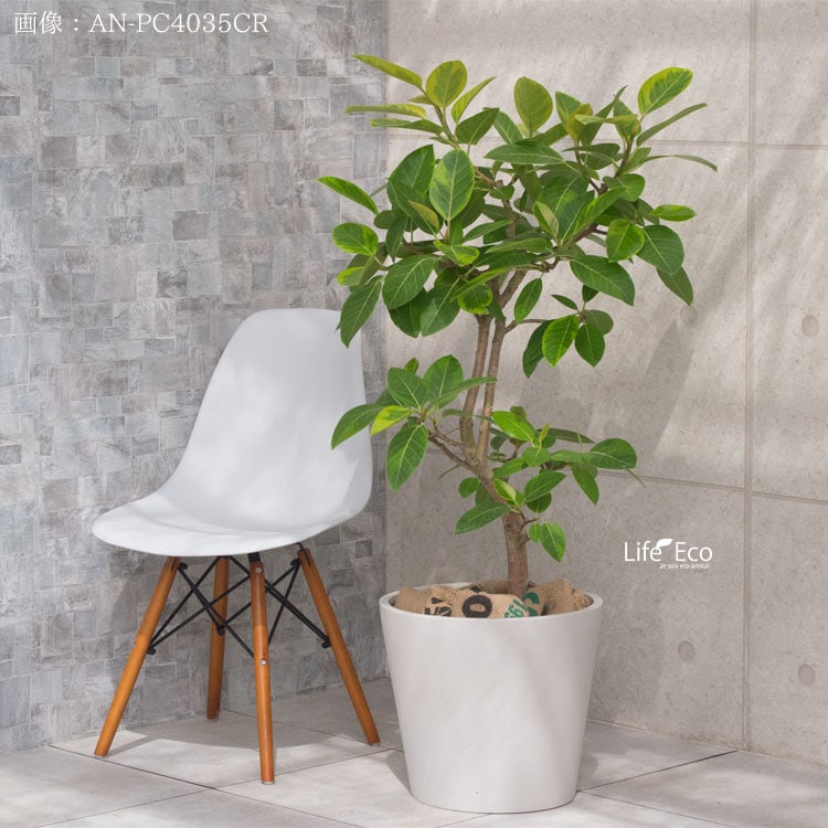 鉢カバー 大型軽量 ポリッシュ コニック クリーム（ホワイト 白）φ50cm