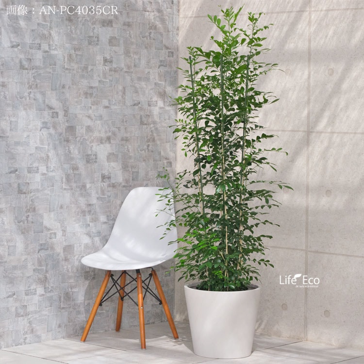 鉢カバー 大型軽量 ポリッシュ コニック クリーム（ホワイト 白）φ50cm