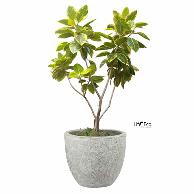 植木鉢 釉薬陶器製 大型 おしゃれ ボルカーノ ラウンド Mホワイト（白） φ39cm×H35m（13号）【送料E】