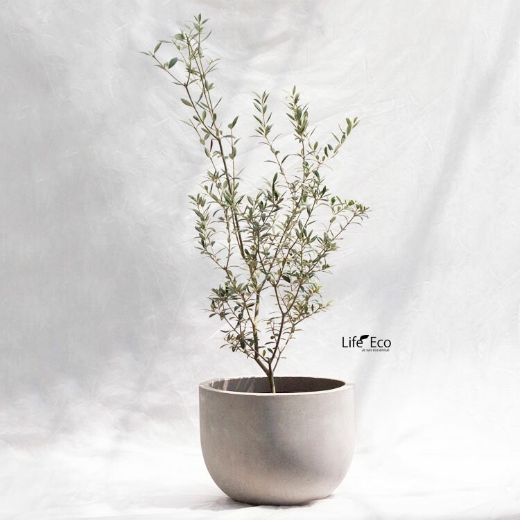 植木鉢 大型 デッカー ボウル ナチュラル（グレー・灰） φ38cm×H29cm（13号）【送料E】