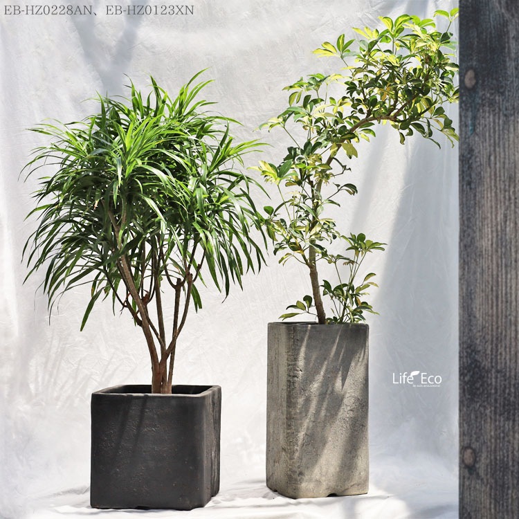 植木鉢 テラコッタ製 ハウズ（HOUZ） トールスクエアー アンティークアンバー（ダークベージュ） / □23cm×H45cm（8号）【送料E】