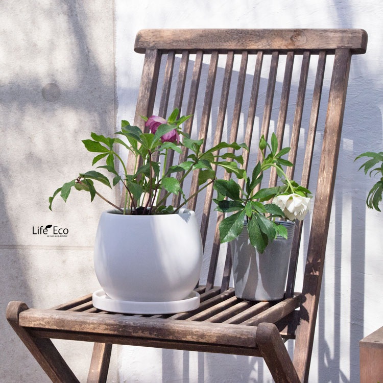 植木鉢【数量限定】釉薬陶器製インテリアポット COCOムーンM マットホワイト（白・艶無し）φ18cm×H15cm（6号・6寸）【送料D】