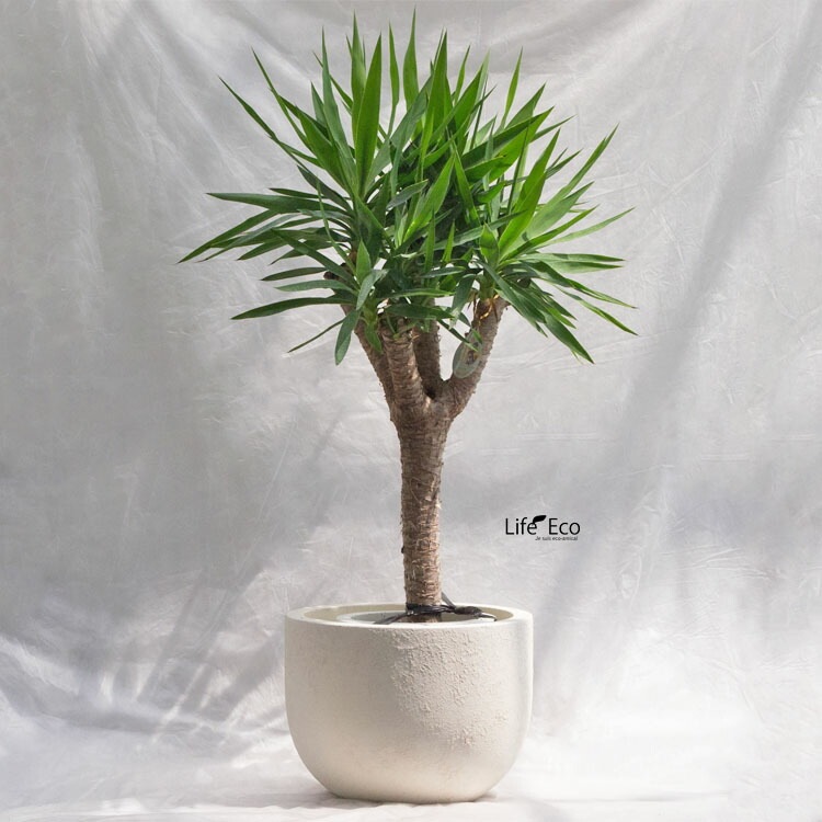 植木鉢 大型 デッカー ボウル ホワイト（白）  φ38cm×H29cm（13号）【送料E】