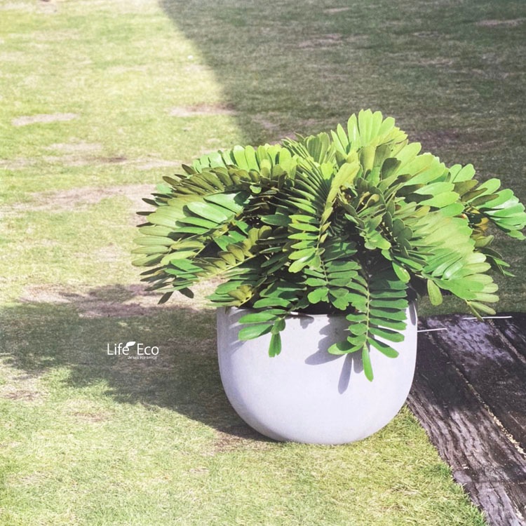 植木鉢 大型 デッカー ボウル ホワイト（白）  φ38cm×H29cm（13号）【送料E】