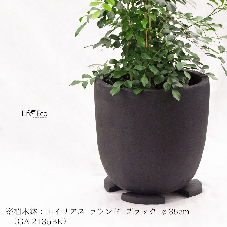 植木鉢足台 FRP製 ポットフィート ライト ブラック（黒） L10cm×W10cm×H3cm【12個入】【送料B】