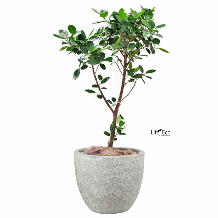 植木鉢 釉薬陶器製 大型 おしゃれ ボルカーノ ラウンド Mホワイト（白） φ46cm×H40cm（15号）【送料G】