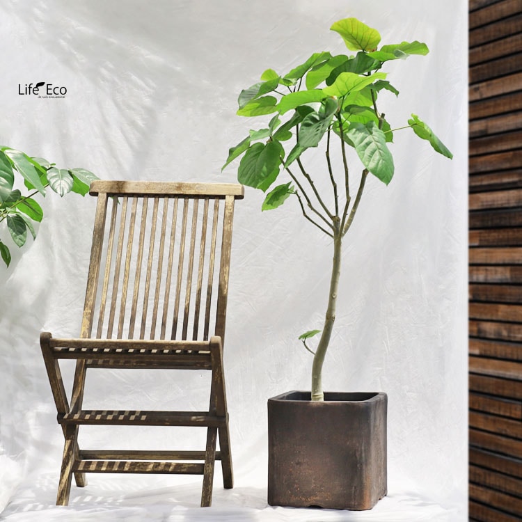 植木鉢 テラコッタ製 ハウズ（HOUZ） スクエアー（キューブ） アンティークアンバー（ダークベージュ） / □23cm×H23cm（8号）【送料E】