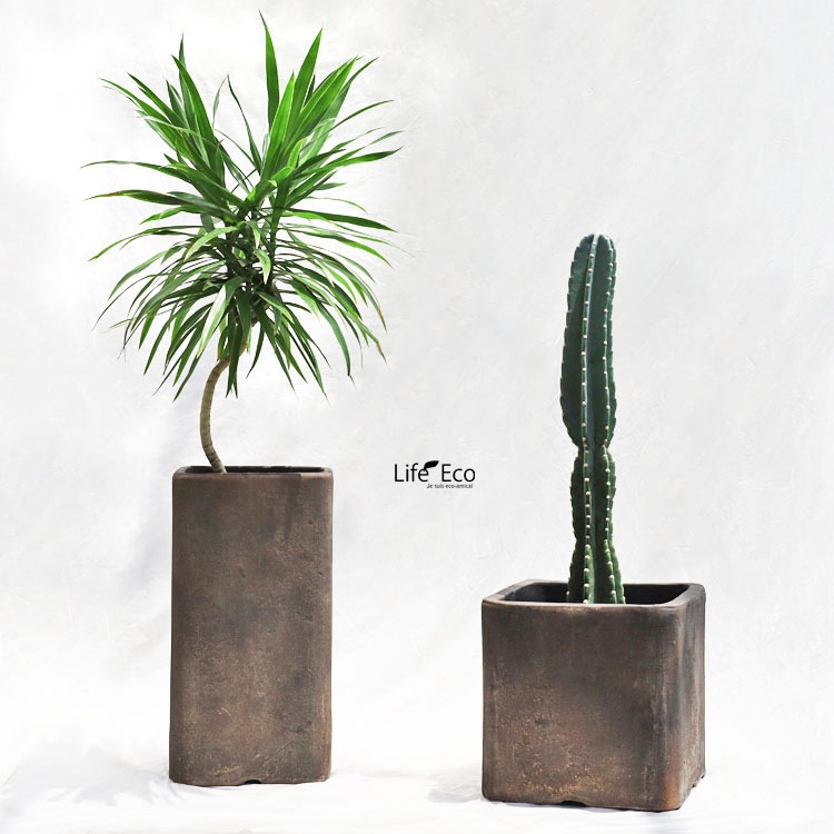 植木鉢 テラコッタ製 ハウズ（HOUZ） スクエアー（キューブ） アンティークアンバー（ダークベージュ） / □23cm×H23cm（8号）【送料E】